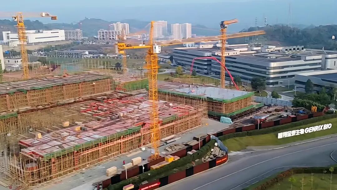 巴渝在线（2026.1.3）