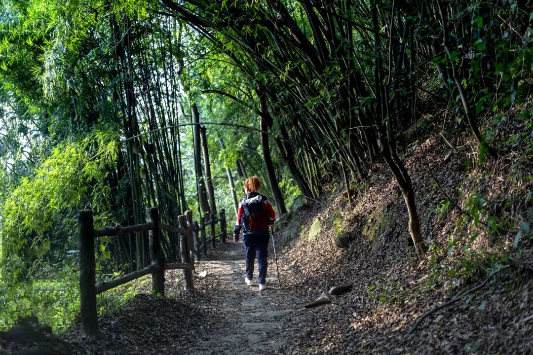 莫跑空！重庆一著名徒步线路将临时闭园一个多月！