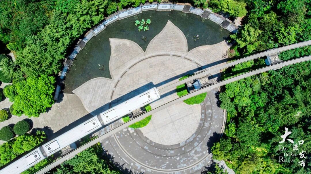 事关轨道交通2号线、3号线!大家关心的问题有回复啦!